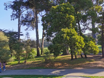 37.76628112777778,-122.46642303444445