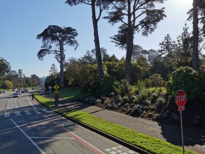 37.77040863027778,-122.46664428694444