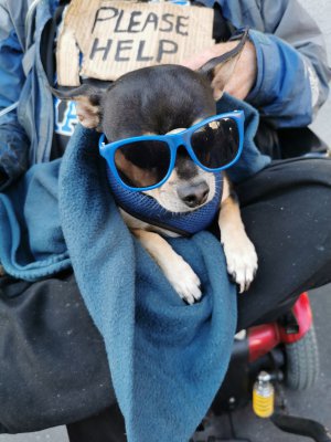 37.78730392444444,-122.40813446027778