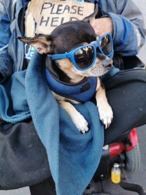 37.78730392444444,-122.40813446027778