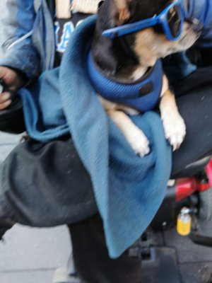 37.78722222222222,-122.40833333333335