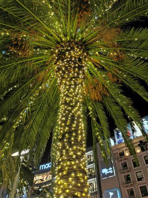 37.78769683833333,-122.40814971916667