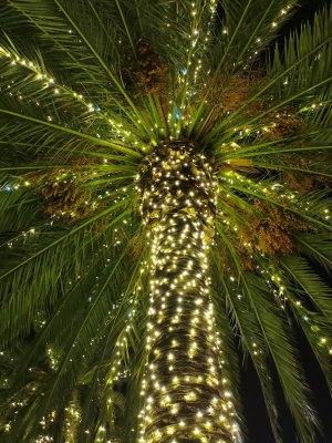 37.78771209694444,-122.40817260722223