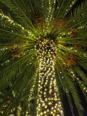 37.78771209694444,-122.40817260722223